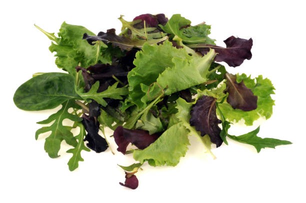 MESCLUN DE JEUNES POUSSES 125g