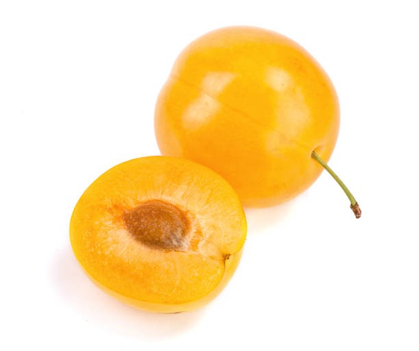 PRUNE JAUNE